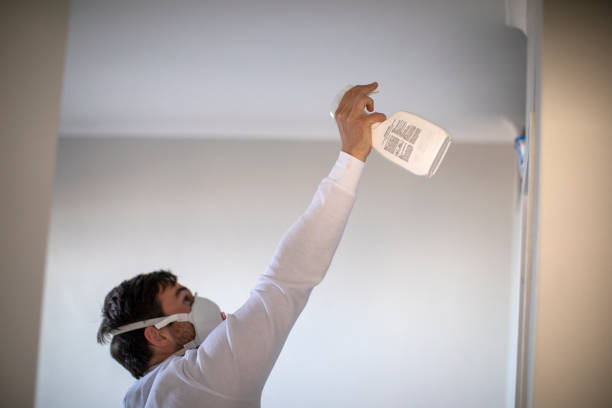 Reliable Trenton, IL Mold Remediation Solutions